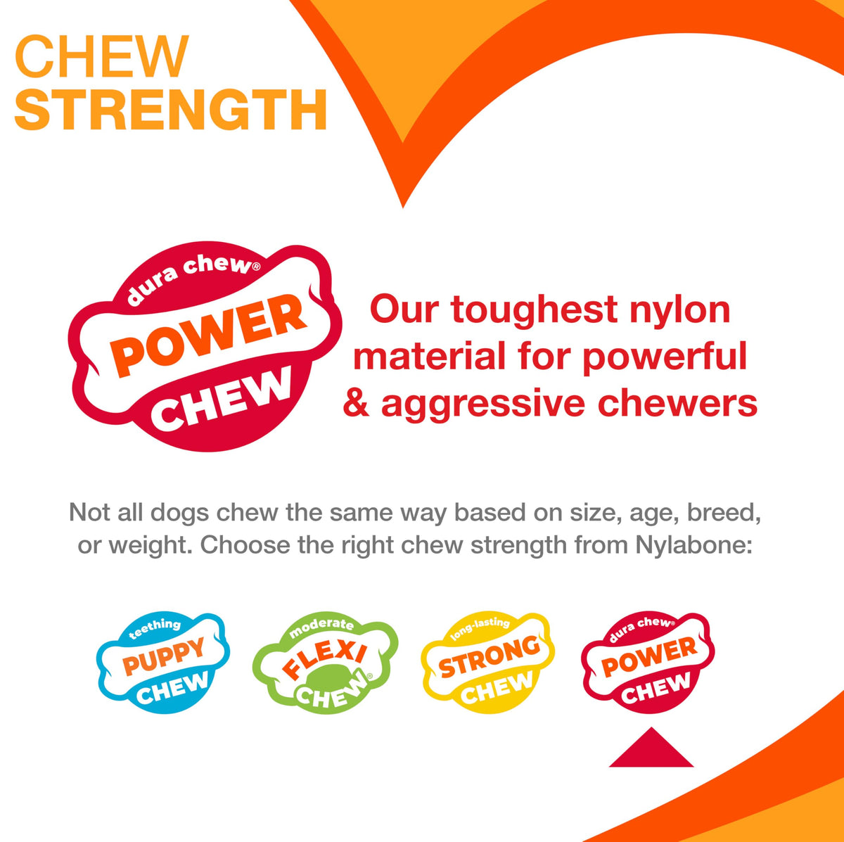 Nylabone Dura Chew Souper Original Flavored Bone Dog Chew Toy