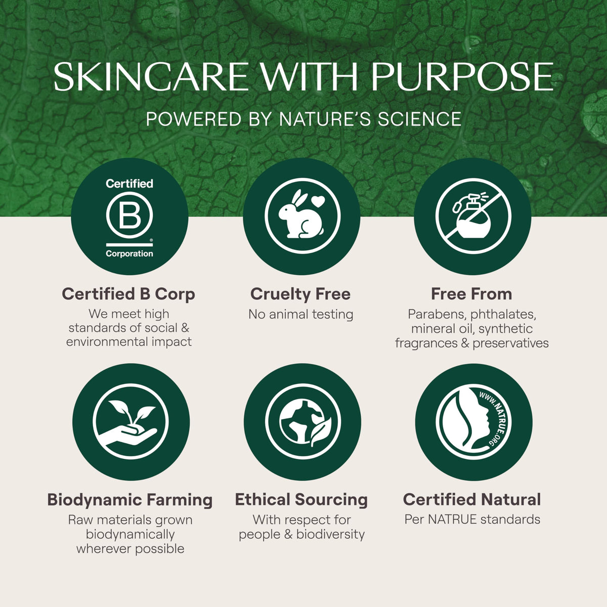 Weleda Skin Food, 75 milliliters