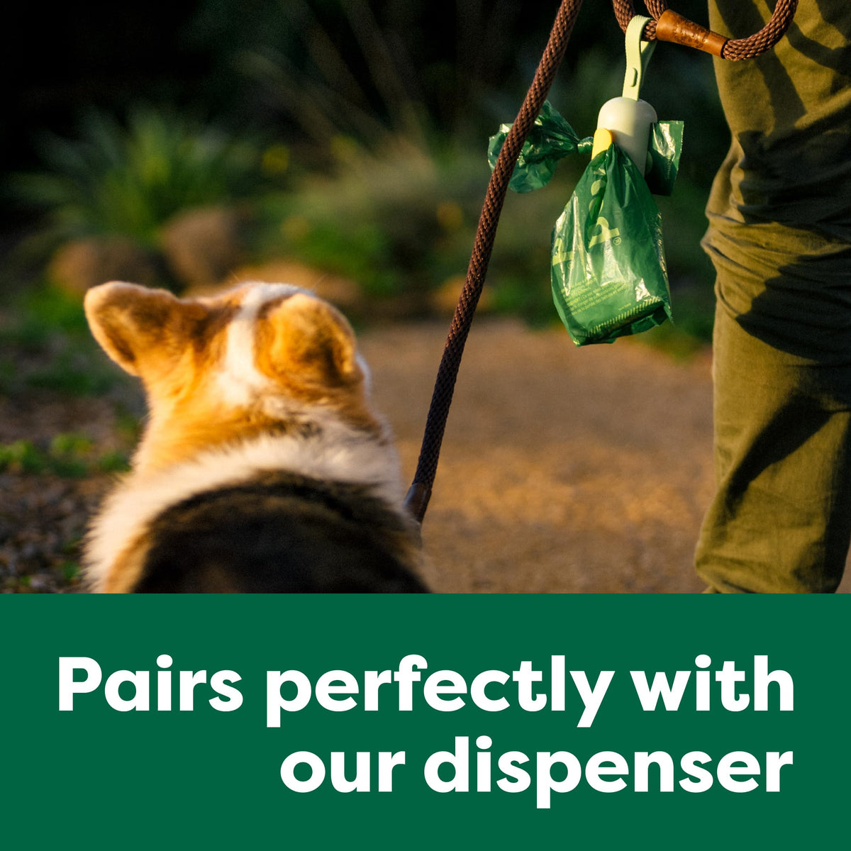Earth Rated Dog Poop Bags Value Pack - Leak-Proof and Extra-Thick Pet Waste Bags for Big and Small Dogs - Refill Rolls - Unscented - 600 Count, Green