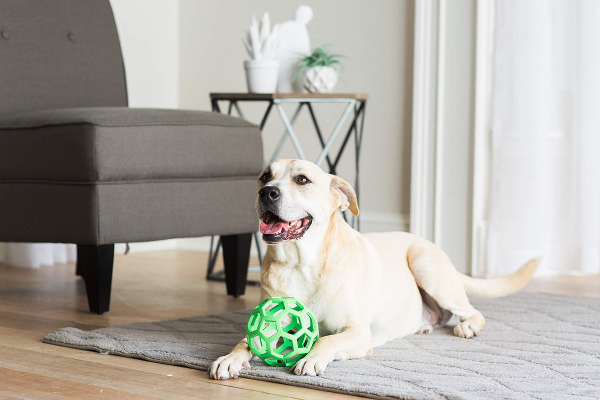 JW Pet HOL-ee Rolle, Dog Toy Ball, Rubber