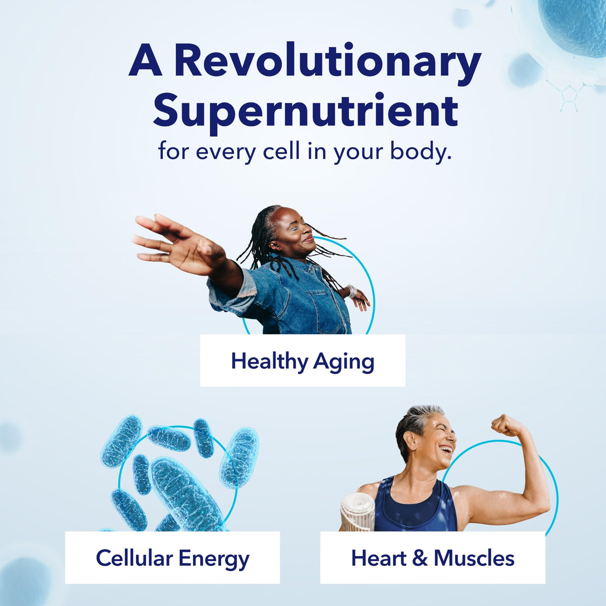 TRU NIAGEN NAD+ Booster Supplement Nicotinamide Riboside NR for Energy Metabolism, Cellular Repair & Healthy Aging (Patented Formula) More Efficient Than NMN - 90 Count - 300mg (6 Months / 2 Bottles)