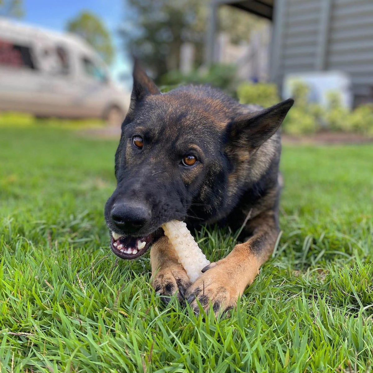 Nylabone Dura Chew Souper Original Flavored Bone Dog Chew Toy